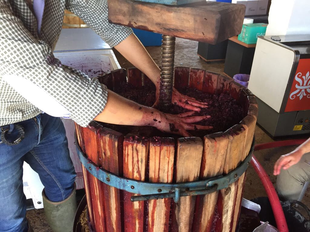 Video cata de Adriano Tinto por VinObjetivo