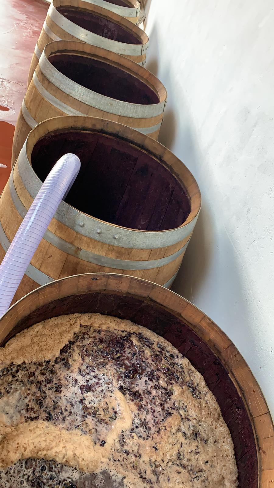 Así elaboramos Adriano Tinto