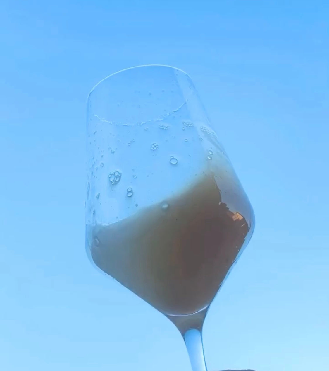 Comienza la Campaña de Vendimia 2020